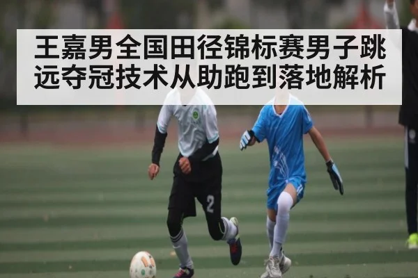 王嘉男全国田径锦标赛男子跳远夺冠技术从助跑到落地解析